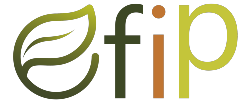 Fundacion EFIP